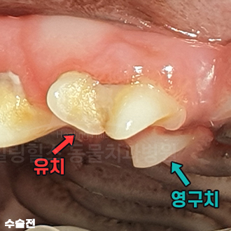 샘플 이미지