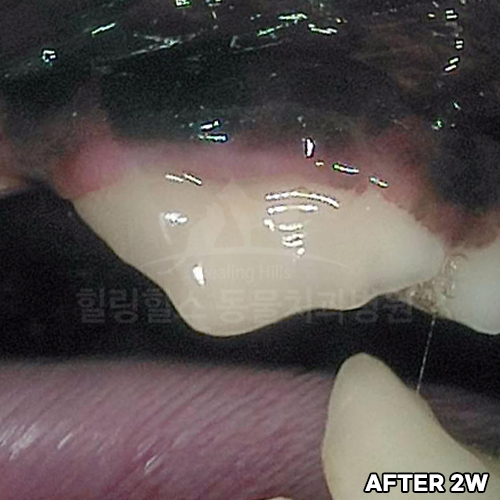샘플 이미지