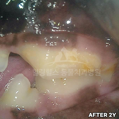 샘플 이미지