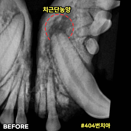 샘플 이미지