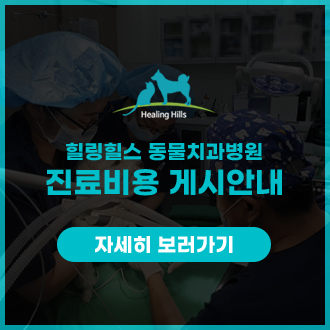 샘플 이미지